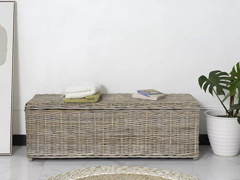 OZAIA Arca De Arrumação Em Kubu De C130 X L45 X A44 Cm Cor Cinza Natural - Gao* Acessórios De Arrumação
