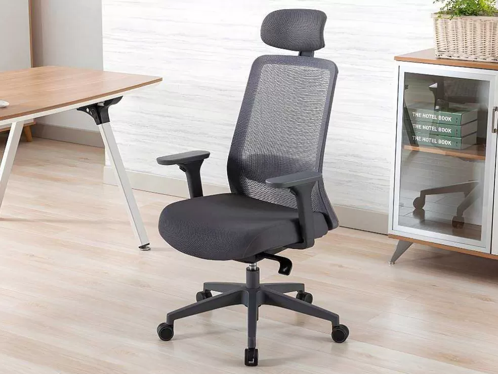 Vente-unique Cadeira De Escritório Ergonomica Profissional Em Nylon E Tecido Cor Cinza - Bankano* Cadeira De Escritório