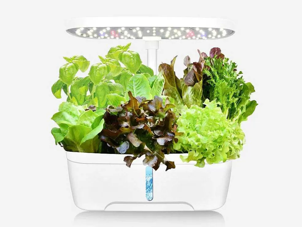 Vente-unique Canteiro De Interior Com Leds 6 Plantas, Altura Ajustavel, Branco - Gardenio* Floreira