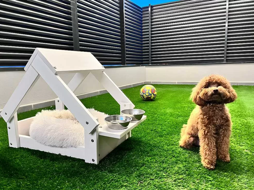 Skraut Home Casa Do Cao Branco - Cama Com Moldura Em Madeira Natural Fsc* Acessórios Para Animais De Estimação