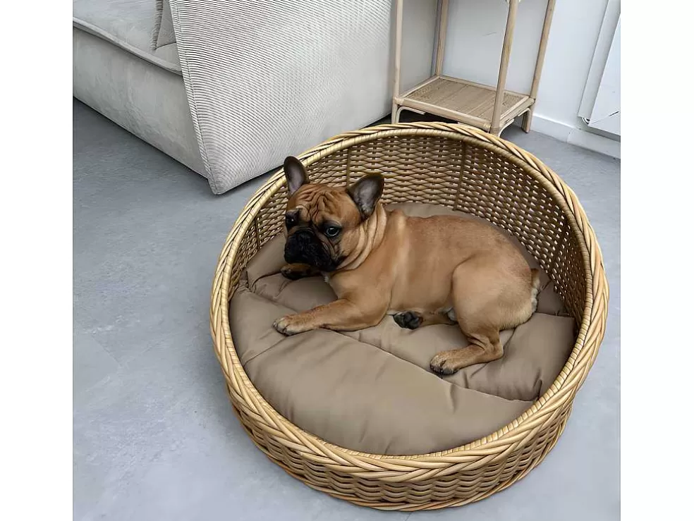 Vente-unique Cesto Para Animais Em Resina Com Almofada, Interior Ou Exterior, D71 X A37 Cm, Natural E Castanho - Zalio* Acessórios Para Animais De Estimação