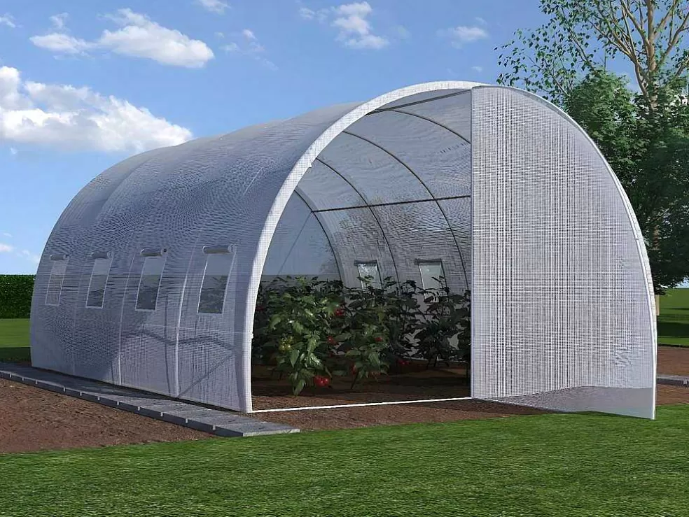 Vente-unique Cobertura De Substituicao Para Estufa Estilo Tunel Com Porta 12 M , C300 X L400 X A200 Cm - Alocasia* Ferramenta De Jardinagem