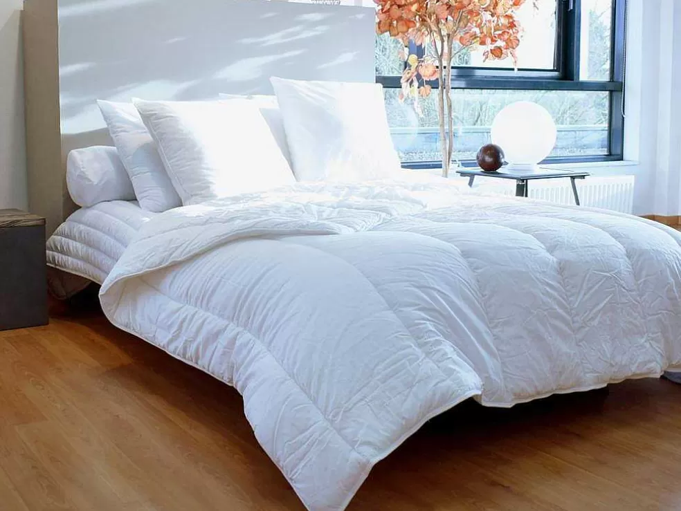 DREAMEA Conjunto De 2 Almofadas Tratamento Antiacaros Natural Greencare 60 X 60 Cm 550 G Branco Algodao - Azylia* Almofada