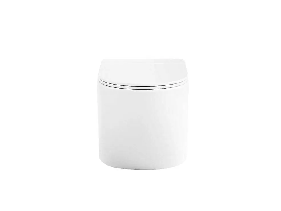 Vente-unique Conjunto Sanita Suspensa Com Estrutura De Suporte Decorativa Branco Brilhante - Javoine* Sanita Suspensa