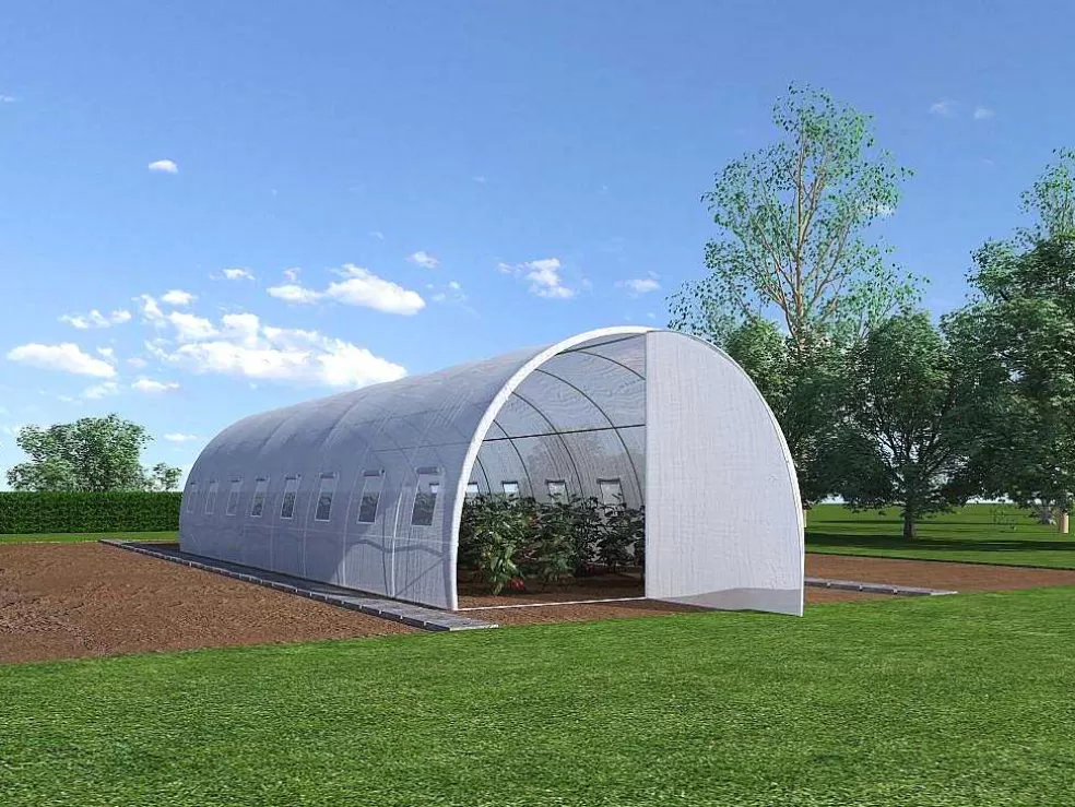 EXPERTLAND Estufa Estilo Tunel Com Estrutura Em Aco E Porta 24 M , C300 X L800 X A200 Cm - Alocasia* Estufas De Jardim