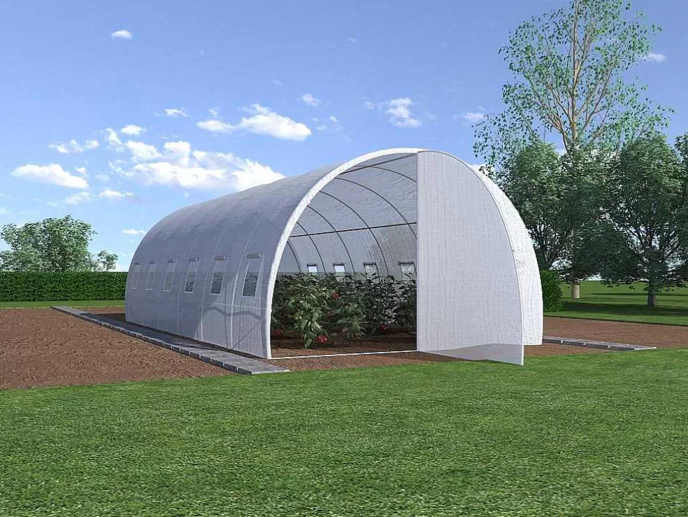 EXPERTLAND Estufa Tunel Com Estrutura Em Aco Galvanizado E Porta De 18 M , C600 X L300 X A200 Cm - Alocasia* Estufas De Jardim