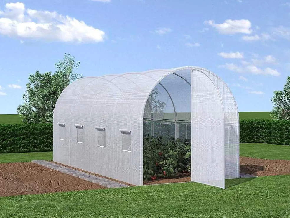 EXPERTLAND Estufa Tunel Com Estrutura Em Aco Galvanizado E Porta De 9 M , C450 X L200 X A200 Cm - Alocasia* Estufas De Jardim