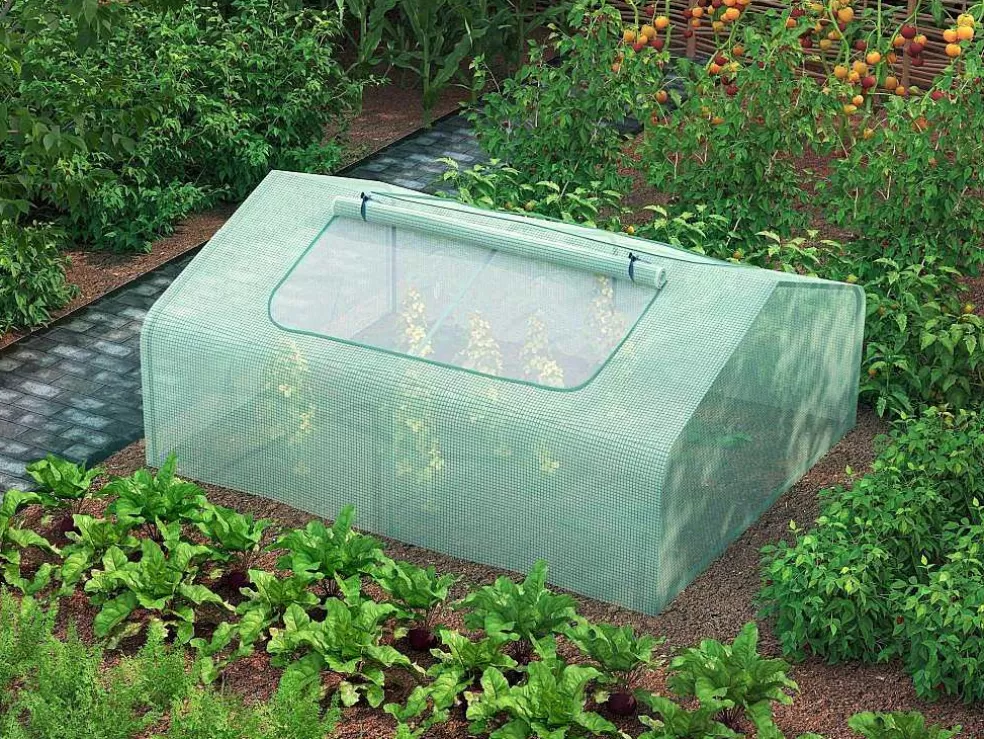 EXPERTLAND Mini Estufa De Jardim De 2,56 M Dimensoes C180 X L142 X A80 Cm - Gentiane* Estufas De Jardim