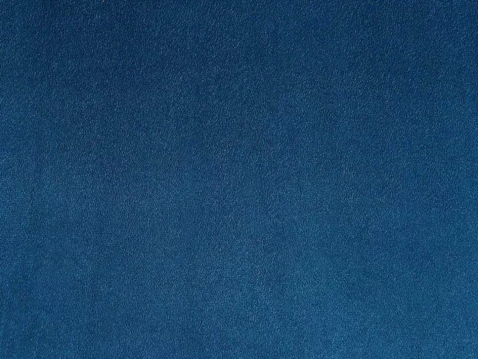 Vente-unique Sofá Para Animais Em Veludo E Pés Em Madeira C.72 X L.44 Cm Azul - Zolia* Acessórios Para Animais De Estimação