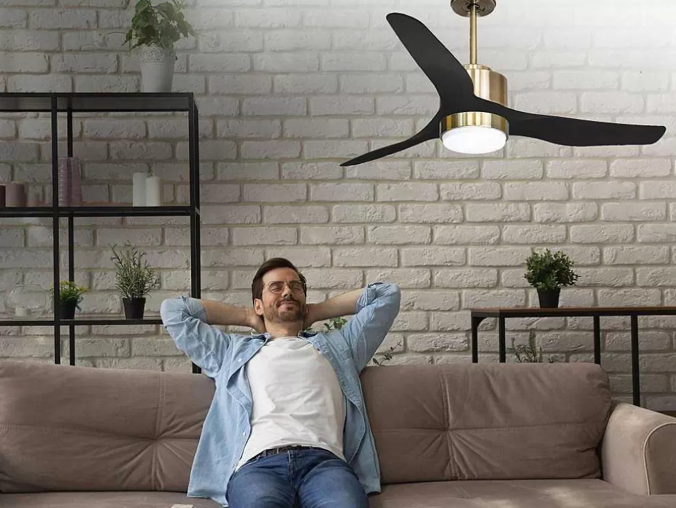 Purline Ventilador De Tecto Reversivel Termostato Regulavel Termostato Wifi Motor Dc Tectos Inclinados Controlo Remoto Adaptador De Luz De Tres Tons 2/3 Laminas Memória Hipersilenciosa* Ventilador