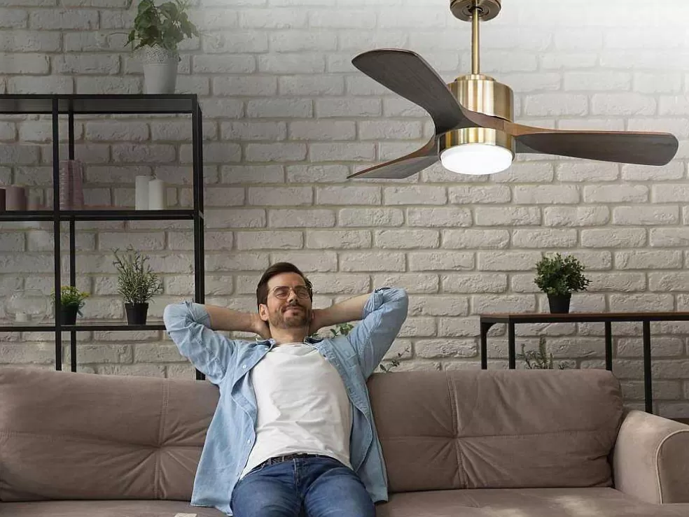 Purline Ventilador De Tecto Reversivel Termostato Regulavel Termostato Wifi Motor Dc Tectos Inclinados Controlo Remoto Luz De Tres Tons Memória Hipersilenciosa* Ventilador