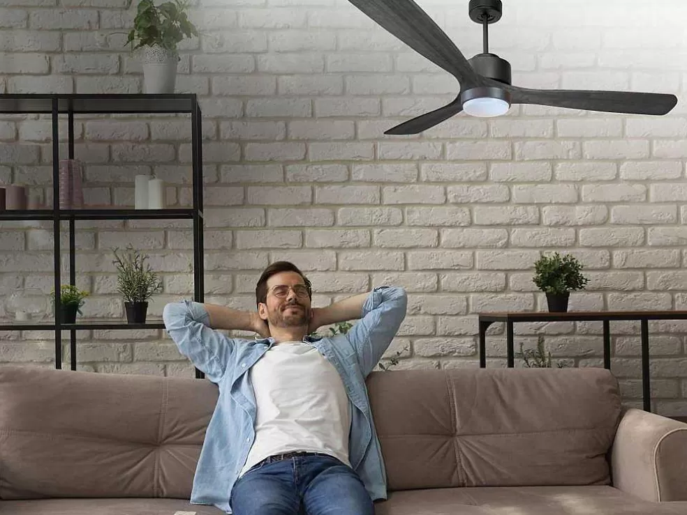 Purline Ventilador De Tecto Reversivel Termostato Reversivel Regulavel Wifi Motor Dc Tectos Inclinados Memória Hypersilence* Ventilador