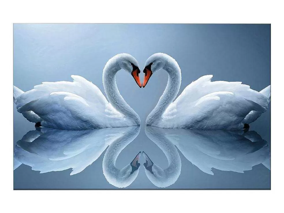 EPIKASA Impressao Em Tela Cisne, Multicolorido, 150X3X100 Cm, * Placa De Parede Decorativa
