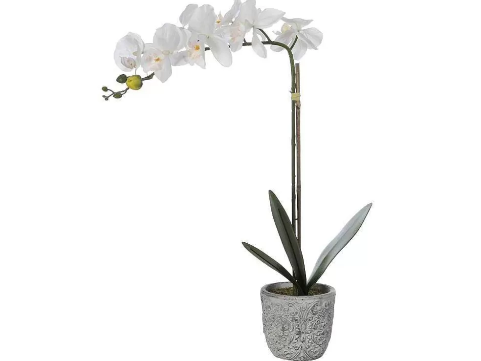 OZAIA Planta Artificial Orquidea Com Vaso Em Cimento A.60 Branco - Flora* Planta Artificial