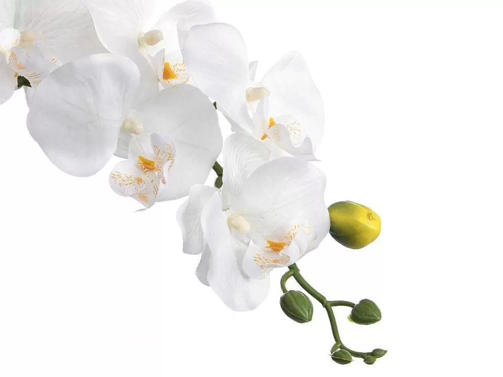 OZAIA Planta Artificial Orquidea Com Vaso Em Cimento A.60 Branco - Flora* Planta Artificial
