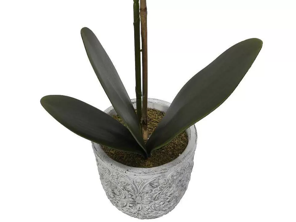 OZAIA Planta Artificial Orquidea Com Vaso Em Cimento A.60 Branco - Flora* Planta Artificial