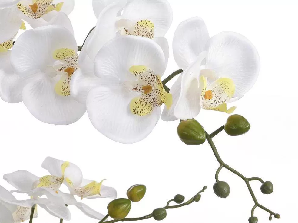 OZAIA Planta Artificial Orquidea Com Vaso Em Cimento A.65 X L.54 Cm Branco - Tara* Planta Artificial
