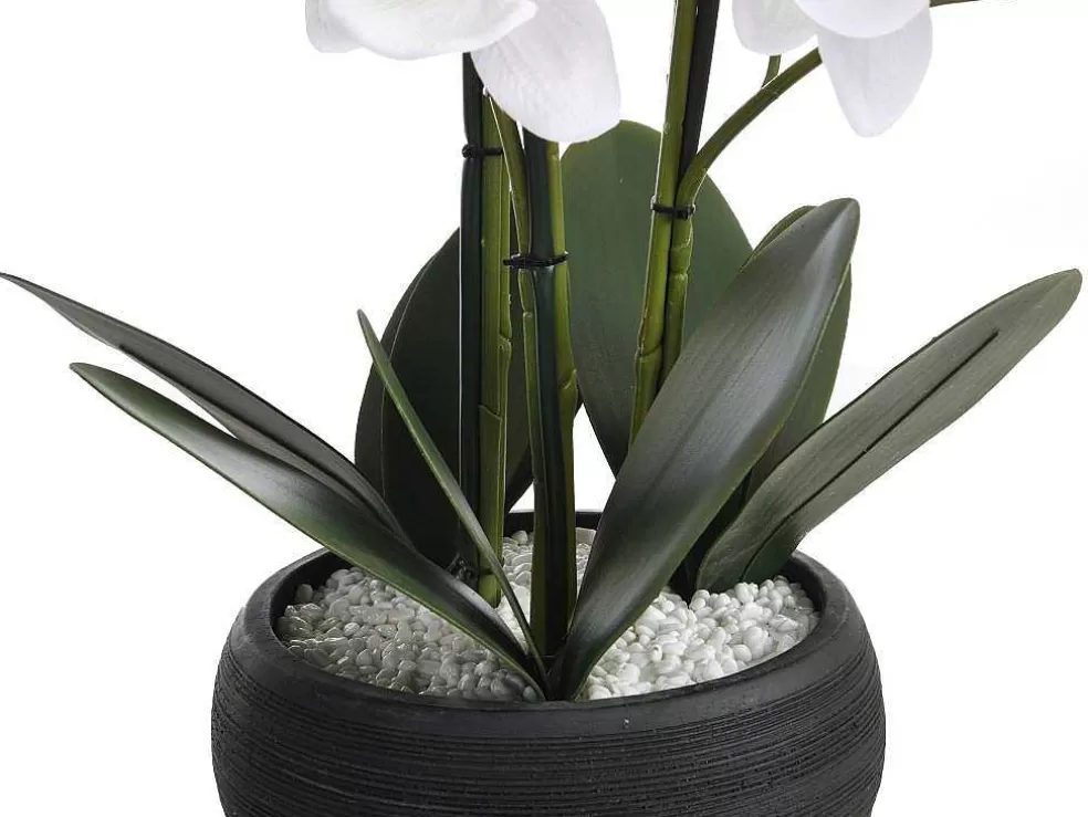 OZAIA Planta Artificial Orquidea Com Vaso Em Cimento A.65 X L.54 Cm Branco - Tara* Planta Artificial