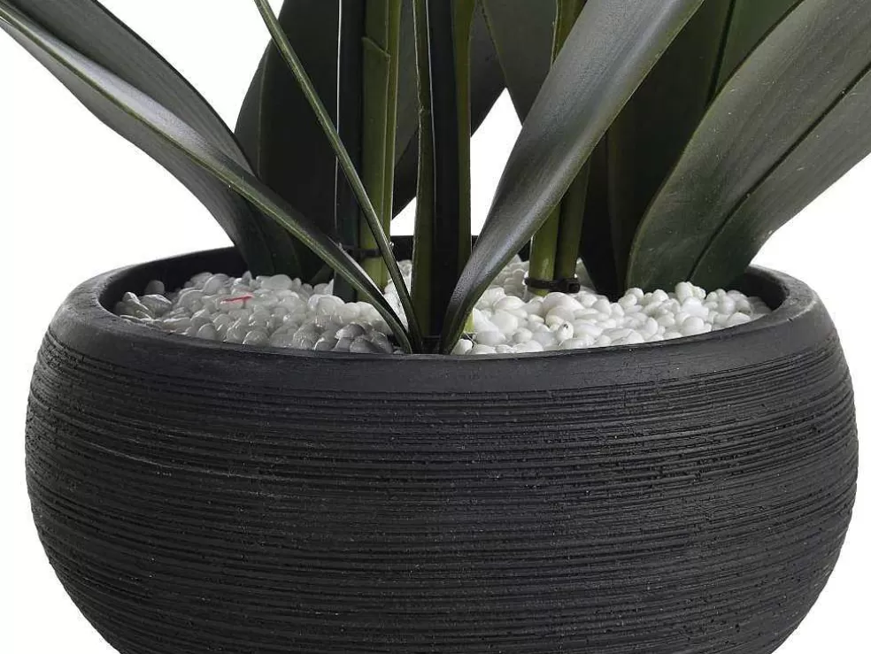 OZAIA Planta Artificial Orquidea Com Vaso Em Cimento A.65 X L.54 Cm Branco - Tara* Planta Artificial