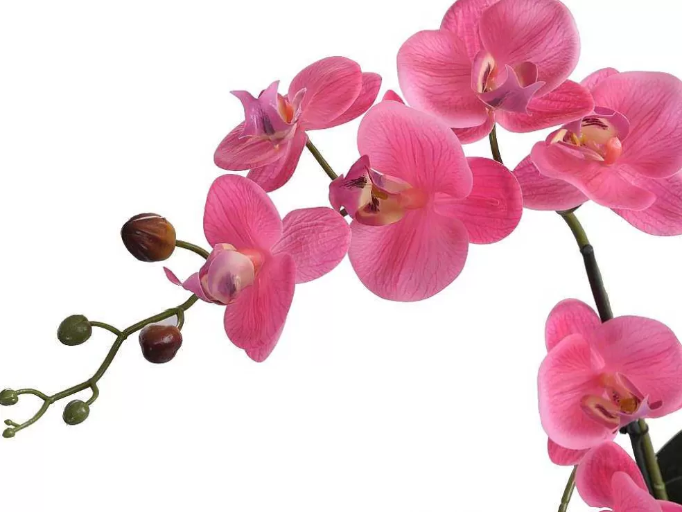 OZAIA Planta Artificial Orquidea Com Vaso Em Cimento A.55 X L.30 Cm Cor-De-Rosa - Riosane* Planta Artificial