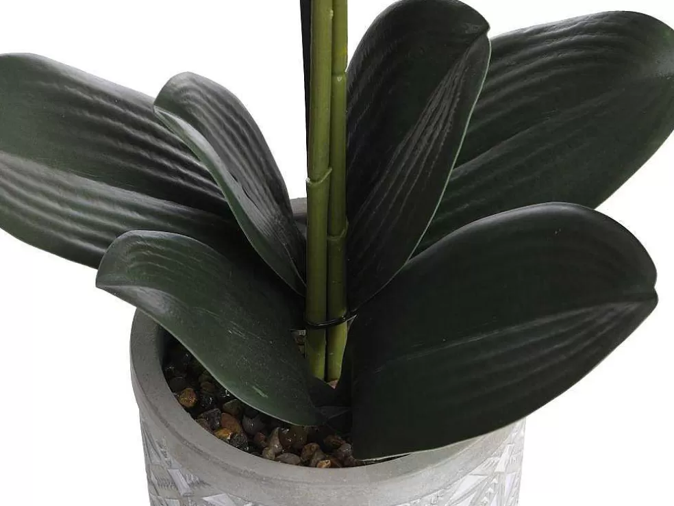 OZAIA Planta Artificial Orquidea Com Vaso Em Cimento A.55 X L.30 Cm Cor-De-Rosa - Riosane* Planta Artificial